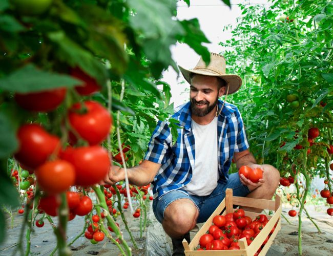 Choose local plants - Players Club of Tampa Bay